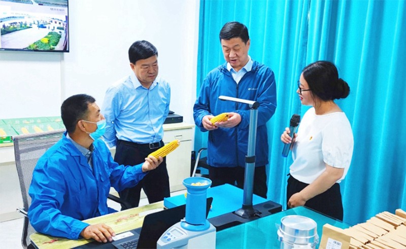 甘肅省地方金融監(jiān)管局、甘肅證監(jiān)局領(lǐng)導(dǎo)蒞臨敦煌種業(yè)調(diào)研指導(dǎo)