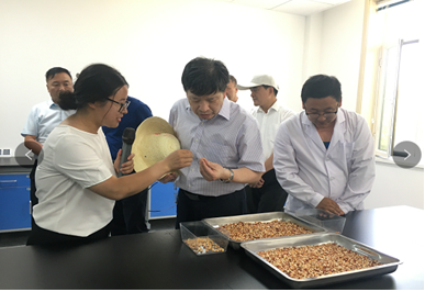 中國工程院“科技支撐甘肅綠洲農(nóng)業(yè)和玉米種業(yè)可持續(xù)發(fā)展”院士專家團(tuán)隊考察調(diào)研敦煌種業(yè)生物育種實(shí)驗基地